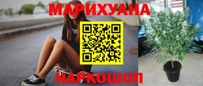 дурь Шебекино