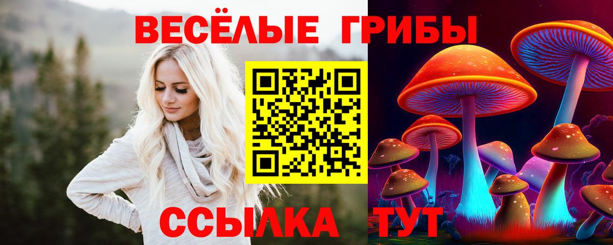 Вольск  Псилоцибиновые грибы Psilocybe  Вход с VPN 