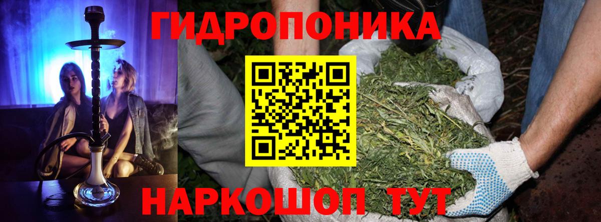 Бошки Шишки план  Вход с VPN  Марихуана ГИДРОПОН  Бошки Шишки семена  Вольск 